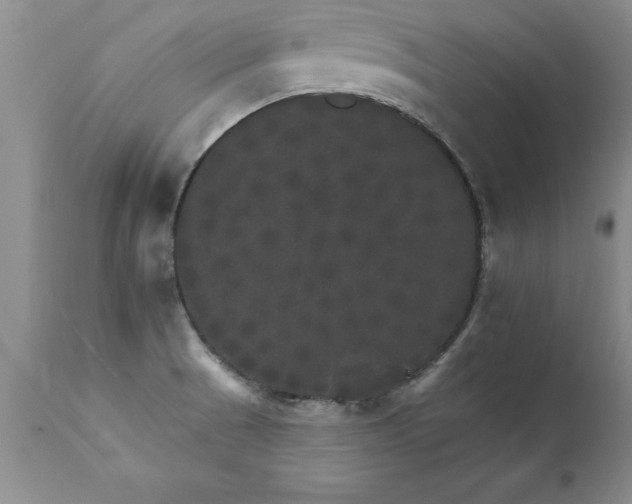 X0000111801521200907301156