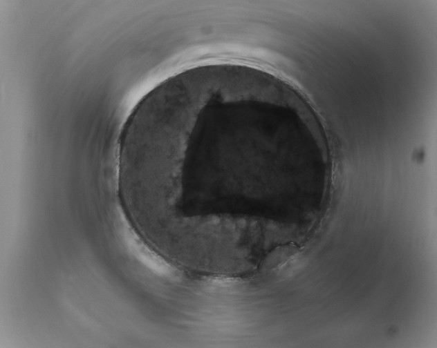 X0000111801522200907301156