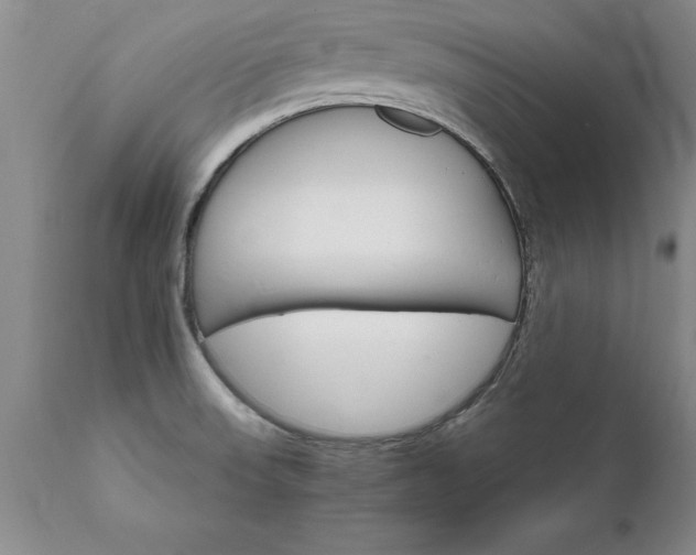 X0000111801523200907301156