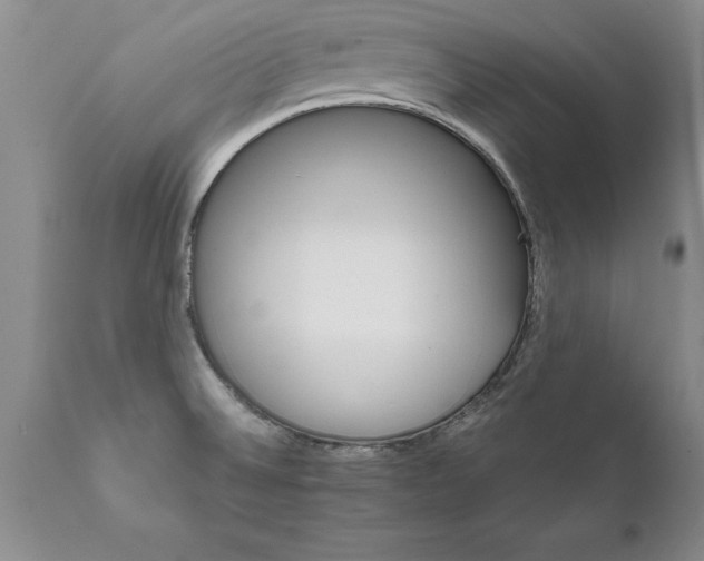 X0000111801524200907301156