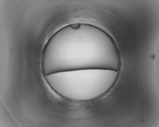X0000111801525200907301156