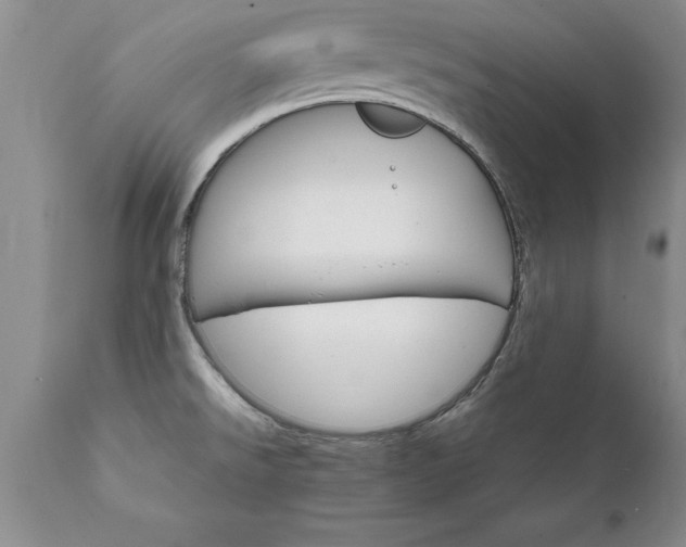 X0000111801526200907301156
