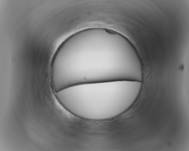 X0000111801527200907301157