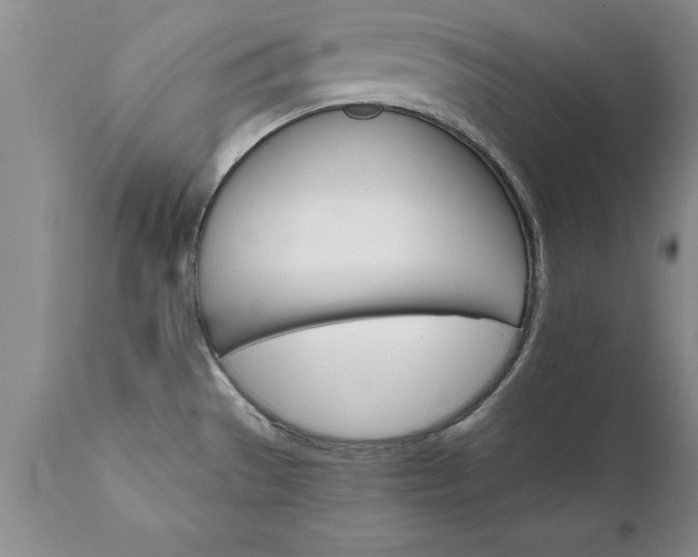 X0000111801529200907301157