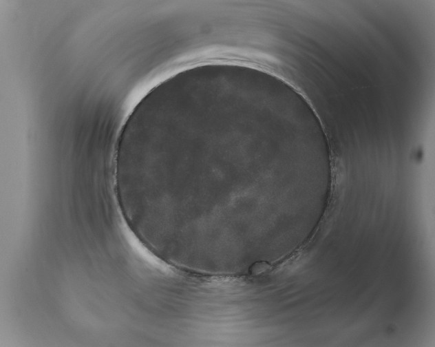 X0000111801531200907301157
