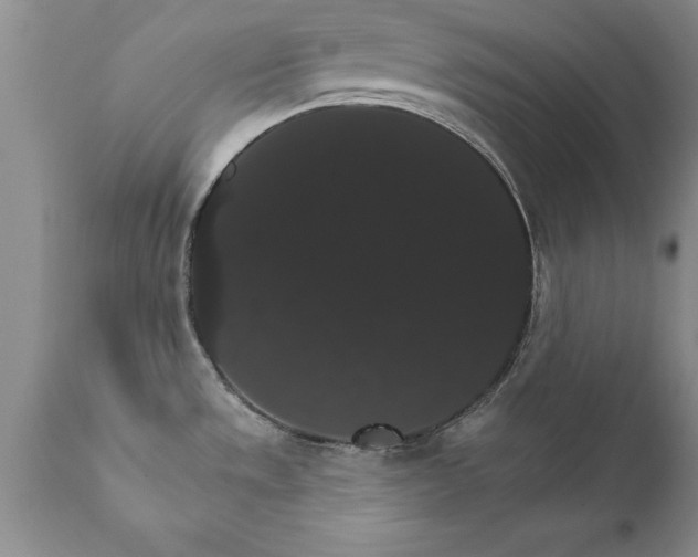 X0000111801533200907301157