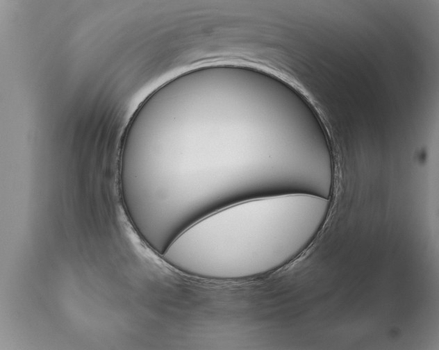 X0000111801534200907301157