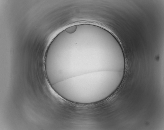 X0000111801535200907301157
