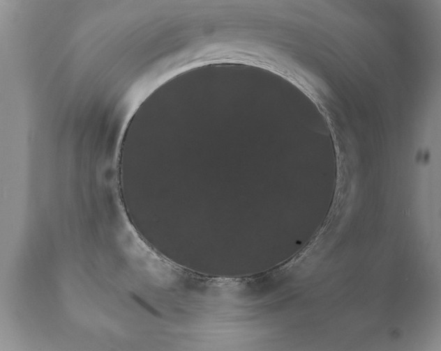 X0000111801536200907301157