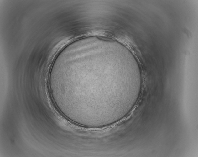 X0000111800001200908061208