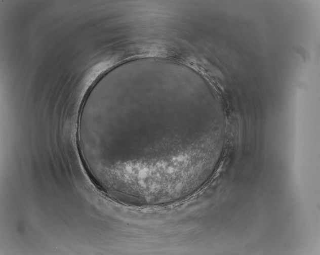 X0000111800003200908061208