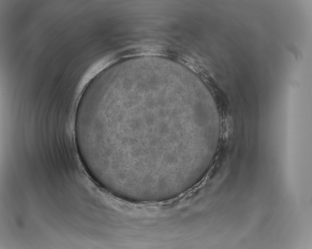 X0000111800004200908061208