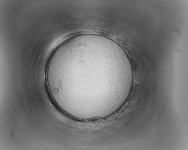X0000111800005200908061208