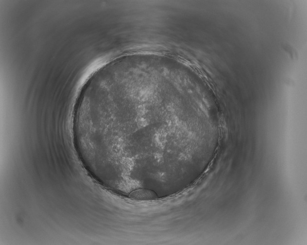 X0000111800006200908061208