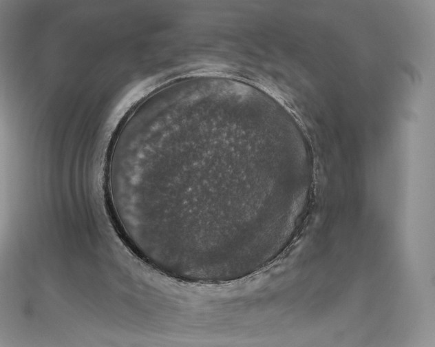 X0000111800007200908061208