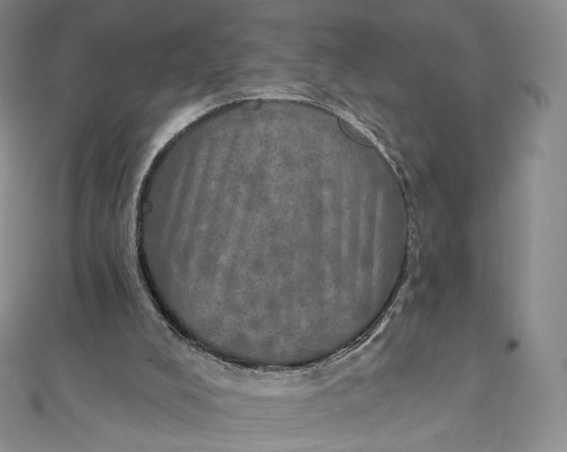 X0000111800008200908061208