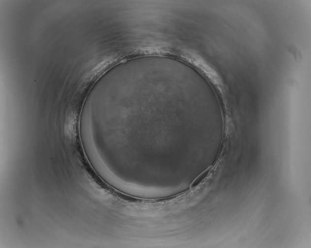 X0000111800009200908061208