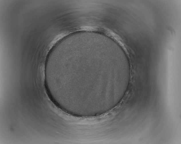 X0000111800011200908061208
