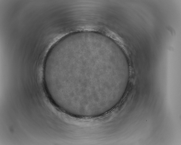 X0000111800012200908061208