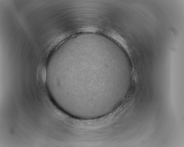 X0000111800013200908061208