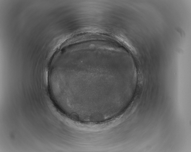 X0000111800014200908061208