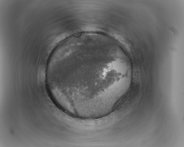 X0000111800015200908061208