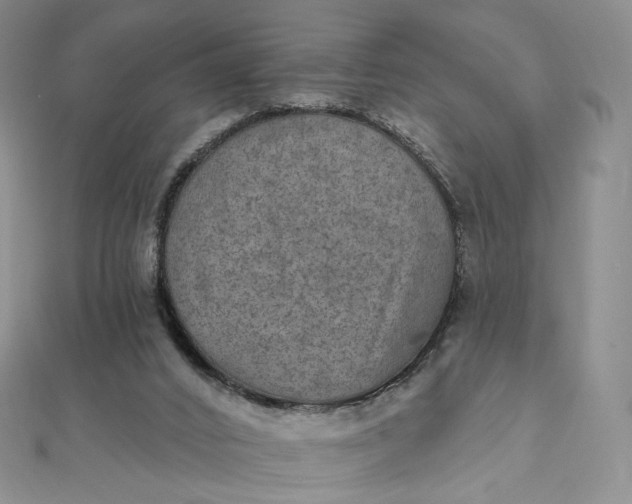 X0000111800016200908061208
