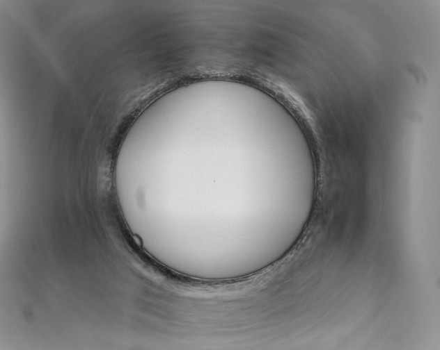 X0000111800017200908061208