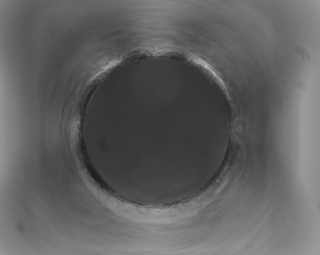 X0000111800018200908061208