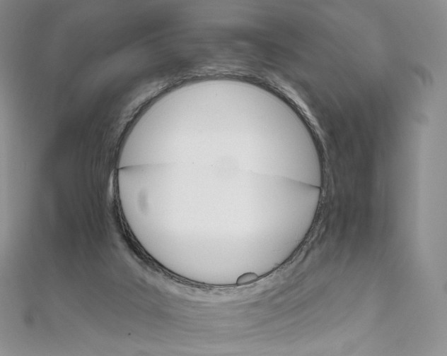 X0000111800019200908061208