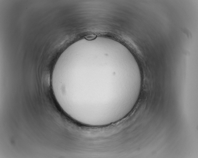 X0000111800021200908061208