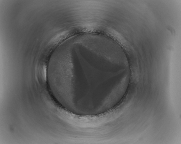 X0000111800022200908061208