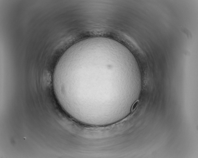 X0000111800025200908061208