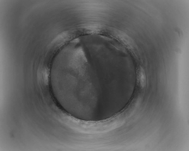 X0000111800026200908061208