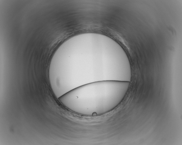 X0000111800027200908061208
