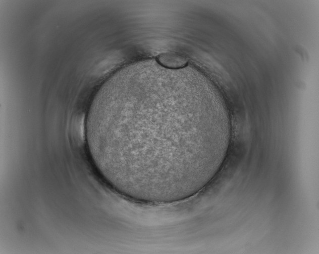 X0000111800028200908061208