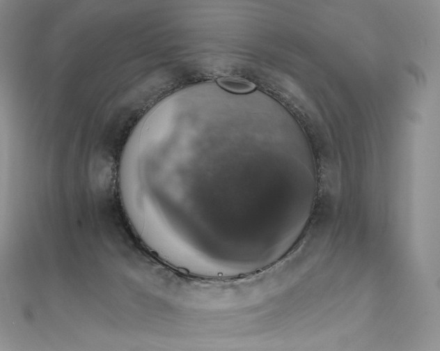 X0000111800029200908061208