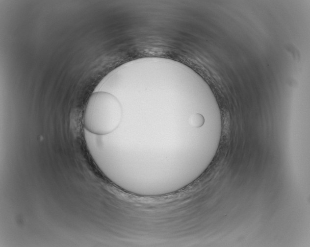 X0000111800030200908061208
