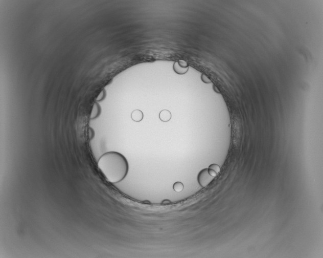 X0000111800034200908061208