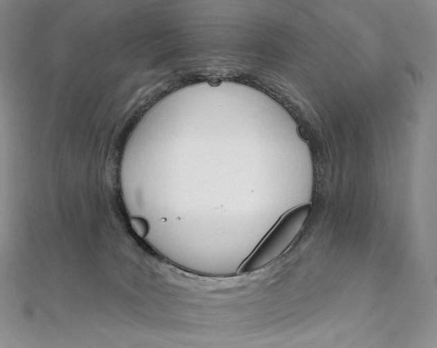 X0000111800035200908061208