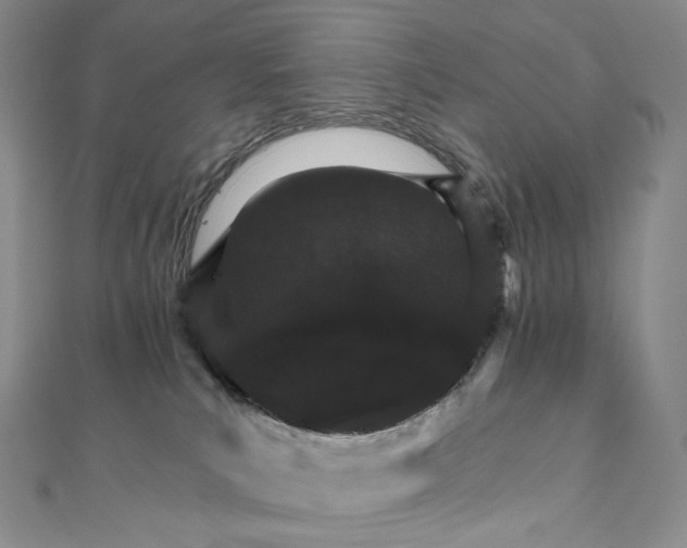 X0000111800039200908061207