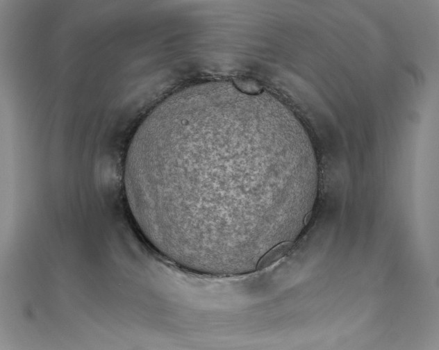 X0000111800040200908061207