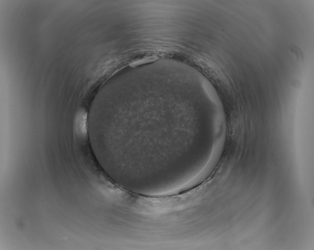 X0000111800041200908061207