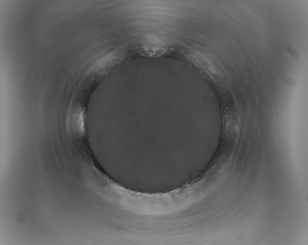 X0000111800042200908061207