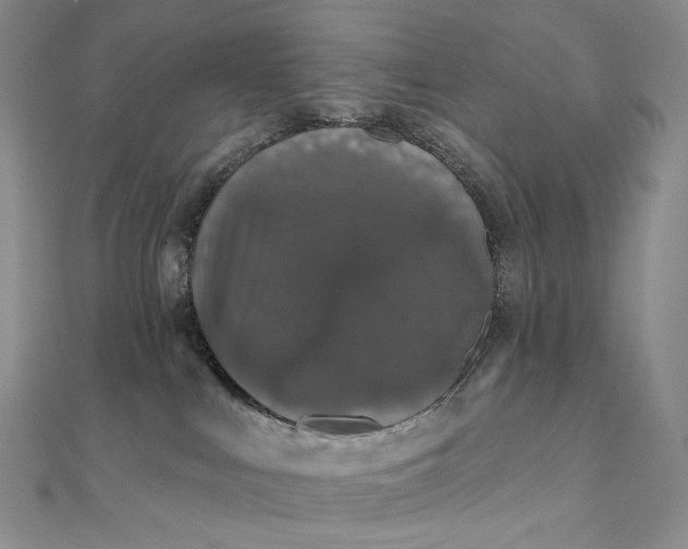 X0000111800043200908061207