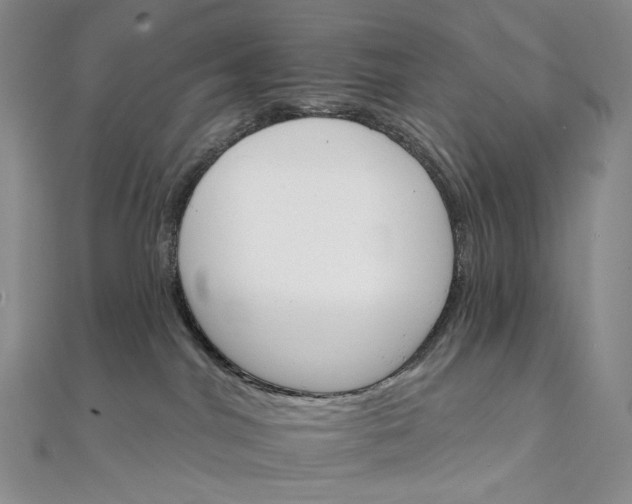 X0000111800044200908061207
