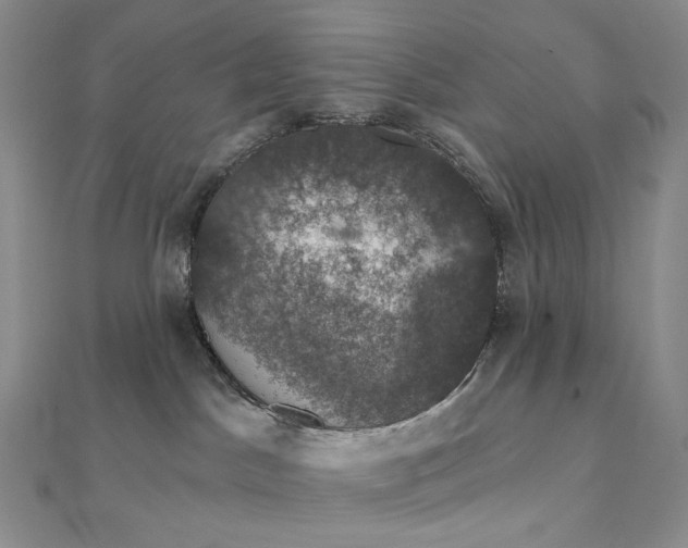 X0000111800045200908061207