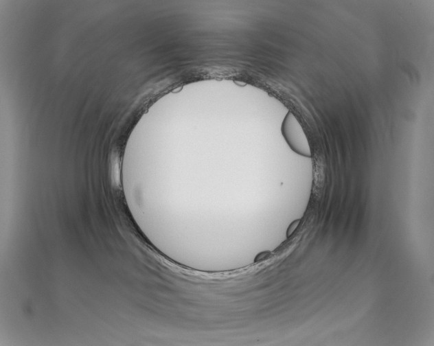X0000111800046200908061207