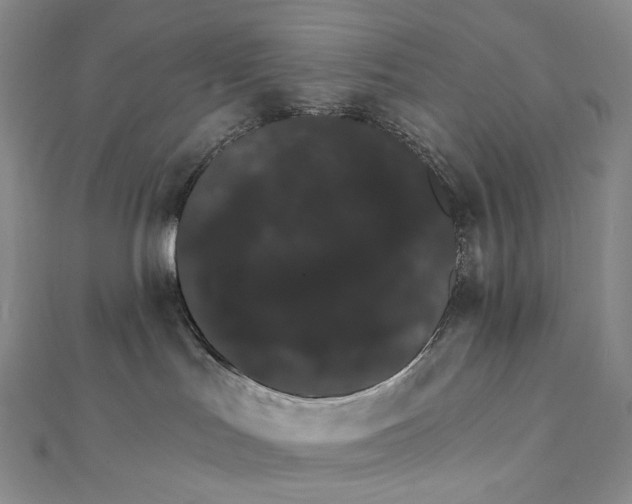 X0000111800047200908061207