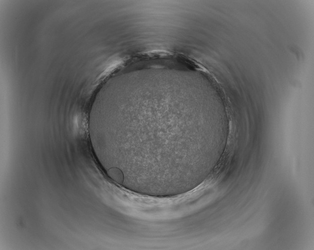 X0000111800048200908061207